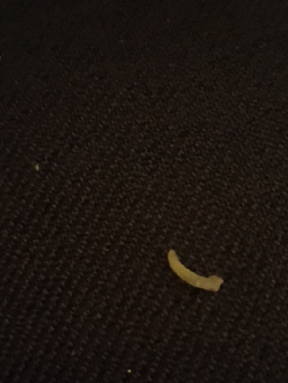 Fingernail